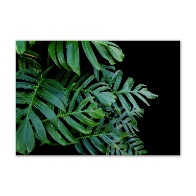 Quadro su vetro acrilico Monstera