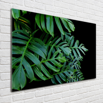 Quadro su vetro acrilico Monstera