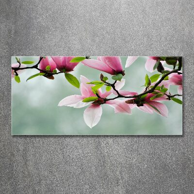 Quadro in vetro acrilico Magnolia