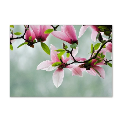 Quadro in vetro acrilico Magnolia