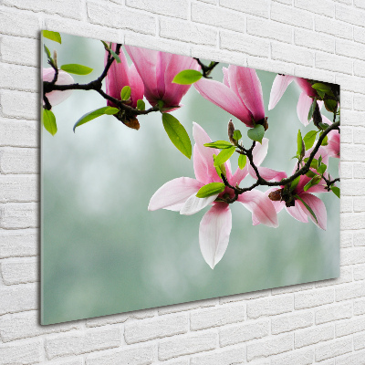 Quadro in vetro acrilico Magnolia
