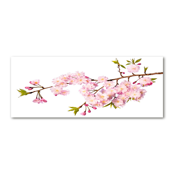 Quadro in vetro acrilico Rovo