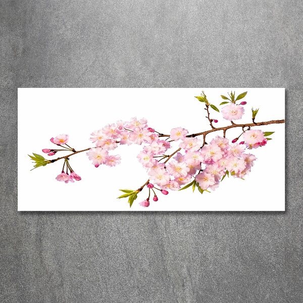 Quadro in vetro acrilico Rovo