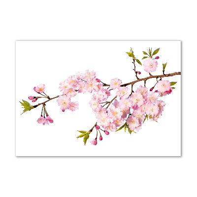 Quadro in vetro acrilico Rovo