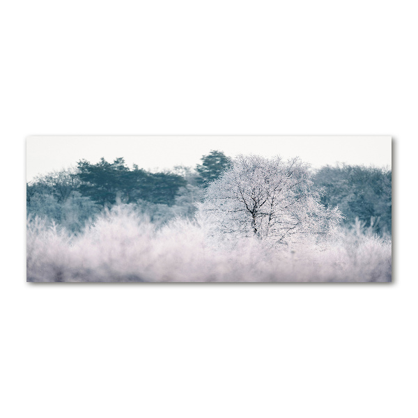 Quadro in vetro acrilico Alberi in inverno