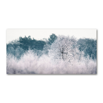 Quadro in vetro acrilico Alberi in inverno