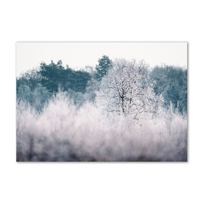 Quadro in vetro acrilico Alberi in inverno