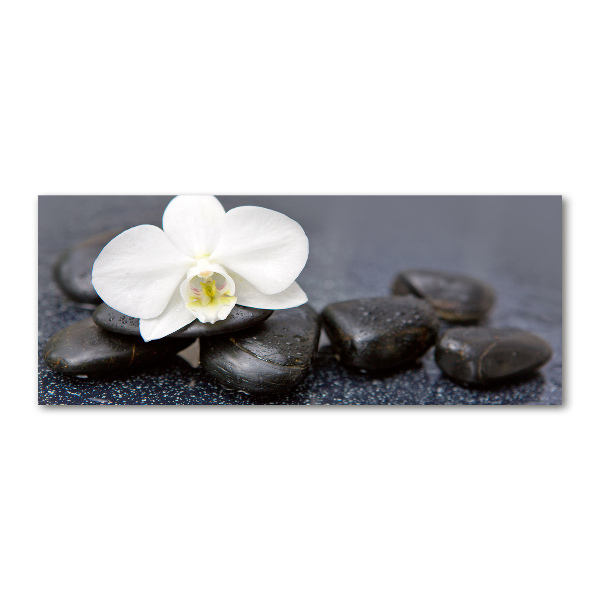 Quadro in vetro acrilico Orchidea