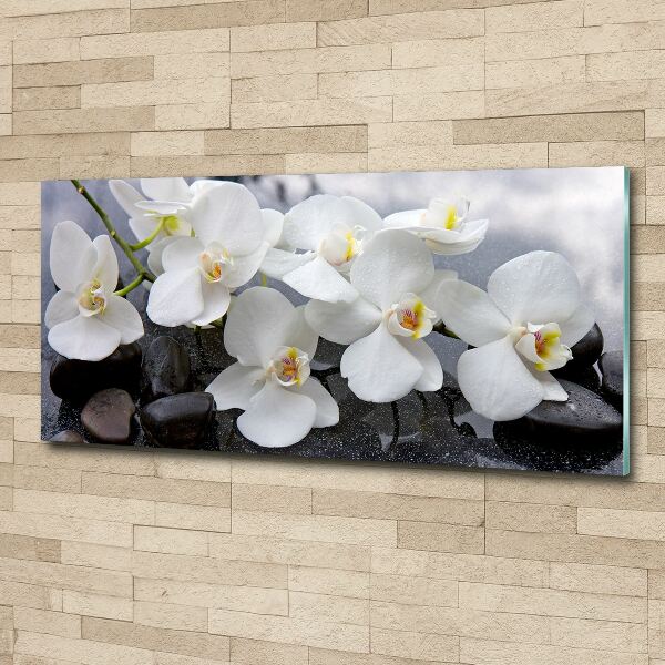 Quadro vetro acrilico Orchidea