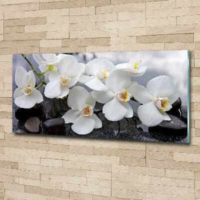 Quadro vetro acrilico Orchidea