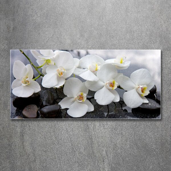 Quadro vetro acrilico Orchidea
