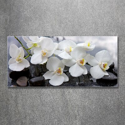 Quadro vetro acrilico Orchidea