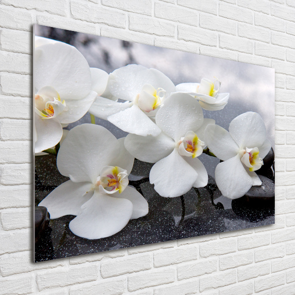 Quadro vetro acrilico Orchidea