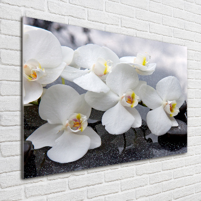 Quadro vetro acrilico Orchidea