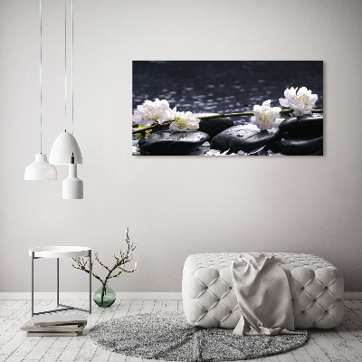 Quadro su vetro acrilico Fiori di ciliegio