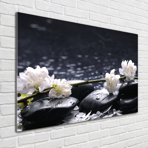 Quadro su vetro acrilico Fiori di ciliegio