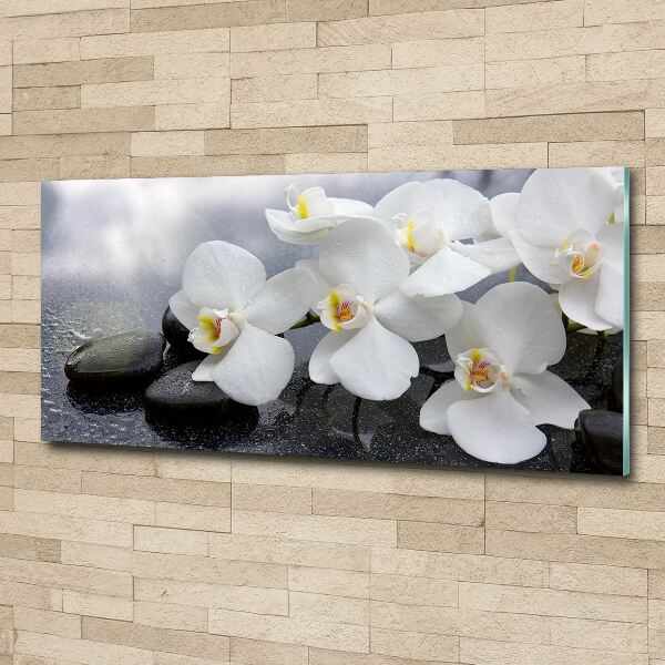 Quadro in vetro acrilico Orchidea