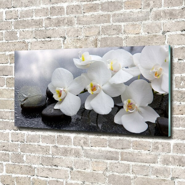 Quadro in vetro acrilico Orchidea