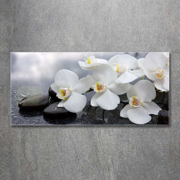 Quadro in vetro acrilico Orchidea