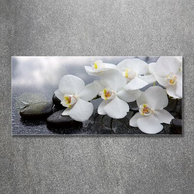 Quadro in vetro acrilico Orchidea
