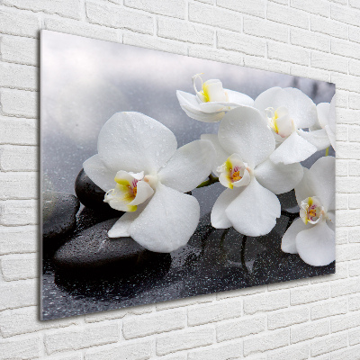Quadro in vetro acrilico Orchidea