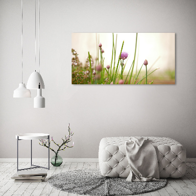 Quadro vetro acrilico Erba cipollina