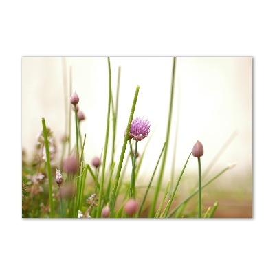 Quadro vetro acrilico Erba cipollina