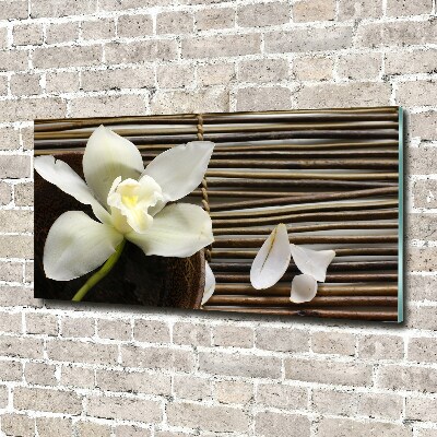 Quadro su vetro acrilico Orchidea