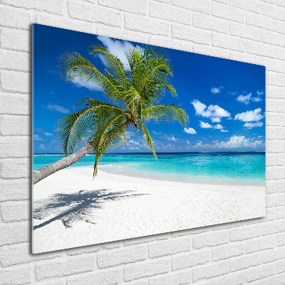 Quadro su vetro acrilico Spiaggia tropicale
