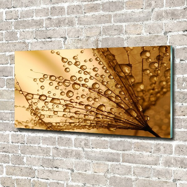 Quadro vetro acrilico Semi di tarassaco