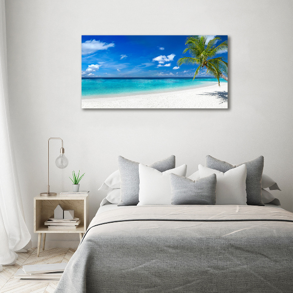 Quadro in vetro acrilico Spiaggia tropicale