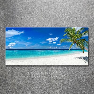 Quadro in vetro acrilico Spiaggia tropicale