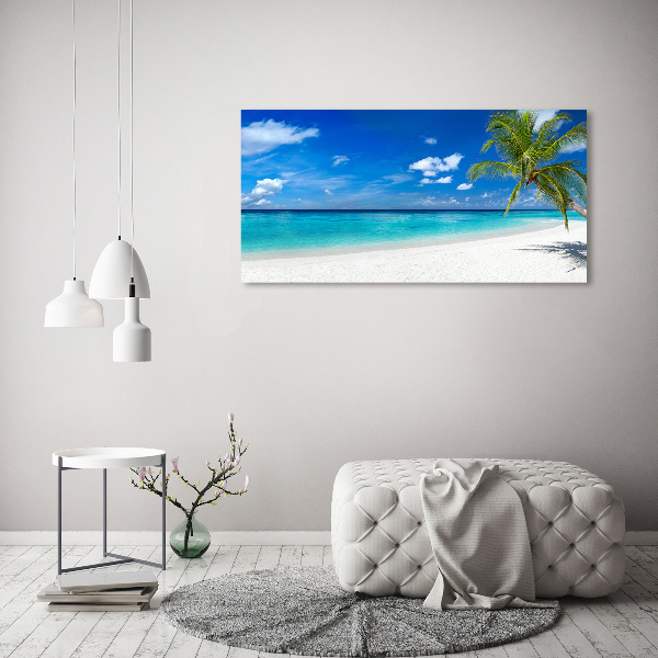 Quadro in vetro acrilico Spiaggia tropicale