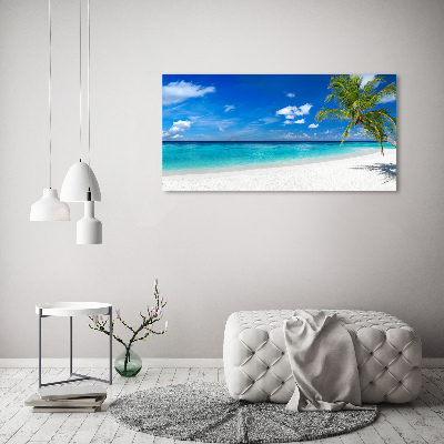 Quadro in vetro acrilico Spiaggia tropicale