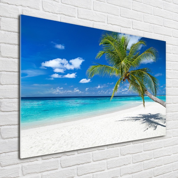 Quadro in vetro acrilico Spiaggia tropicale
