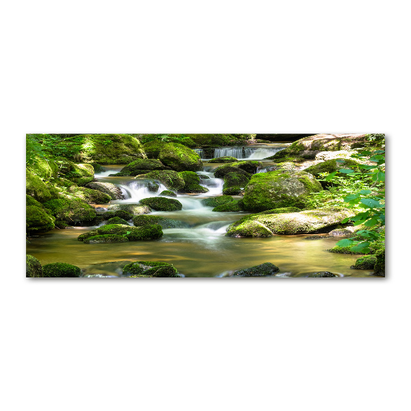 Quadro su vetro acrilico Cascata