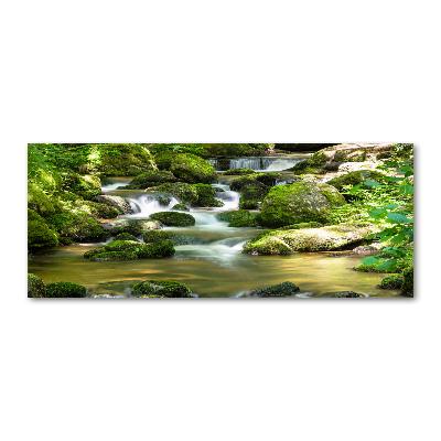 Quadro su vetro acrilico Cascata