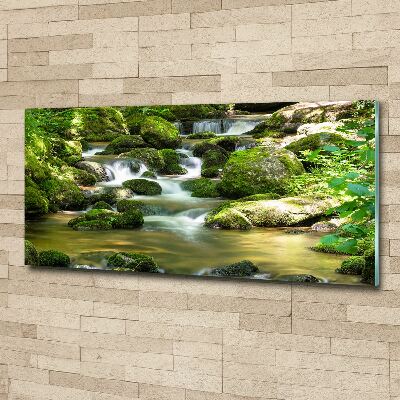 Quadro su vetro acrilico Cascata