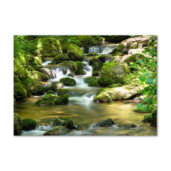 Quadro su vetro acrilico Cascata