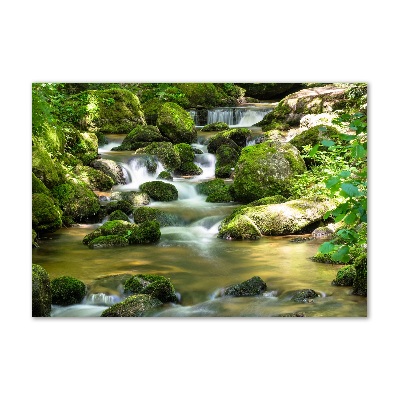 Quadro su vetro acrilico Cascata