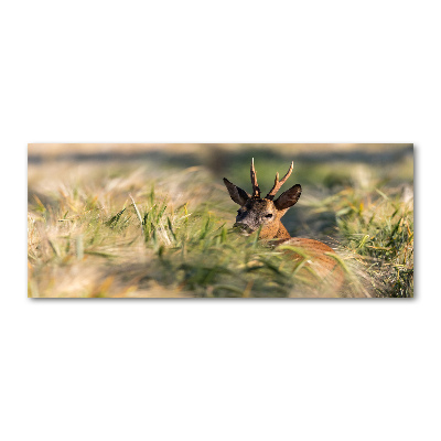 Quadro vetro acrilico Cervi nel campo