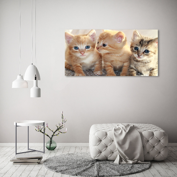 Quadro in vetro acrilico Gattini