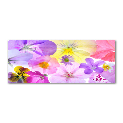 Quadro in vetro acrilico Viole del pensiero