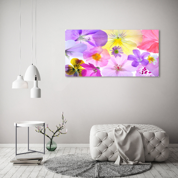 Quadro in vetro acrilico Viole del pensiero