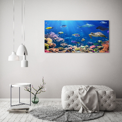 Quadro su vetro acrilico Barriera corallina
