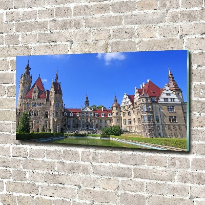 Quadro su vetro acrilico Castello di Moszna, Polonia