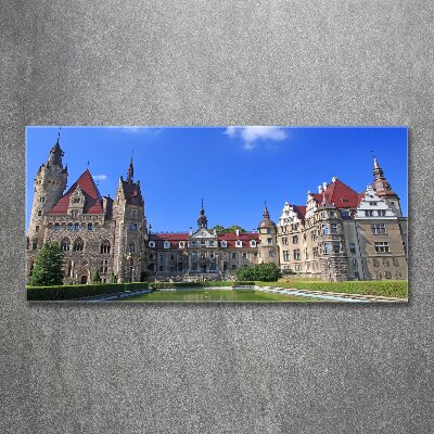 Quadro su vetro acrilico Castello di Moszna, Polonia