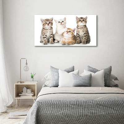 Quadro in vetro acrilico Gattini