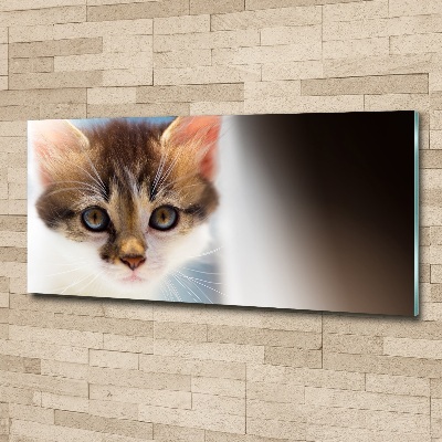 Quadro vetro acrilico Gattino