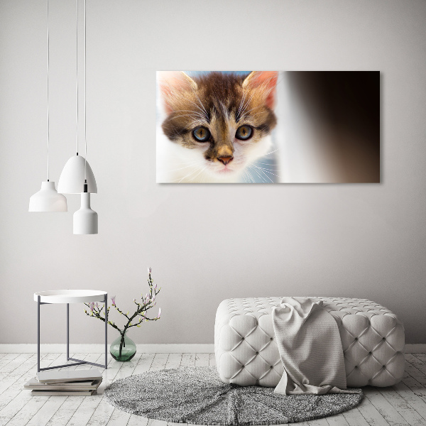 Quadro vetro acrilico Gattino